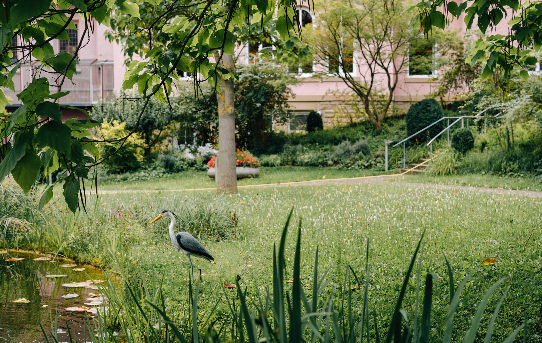 Garten mit Teich und Fischreiher